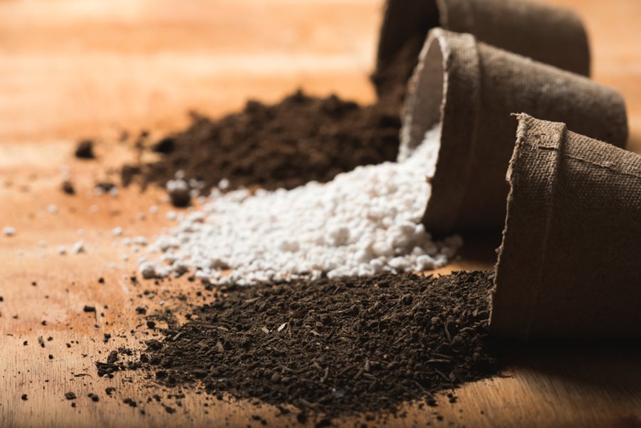 Potting Soil 101: How to Choose the Right Potting Mix for Your Plants | Garden Design