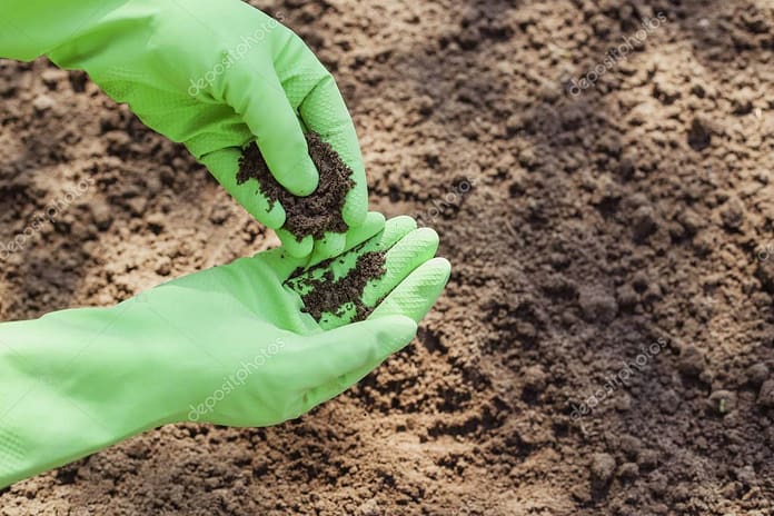 Man in green gloves checking quality of the soil