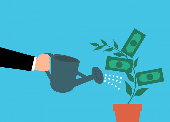 money, cash, tree