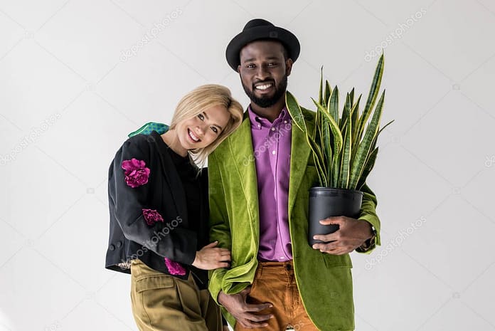 portrait of smiling interracial stylish couple with green plant in flowerpot posing isolated on grey